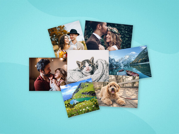 Fotoabzüge mit Bildern von Tieren, Landschaften und Menschen liegen aufgefächert da.